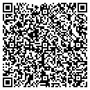 QR code with BirdEase Systems Inc contacts