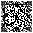 QR code with A Novel View contacts