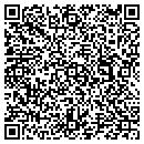 QR code with Blue Chip Alley Inc contacts