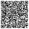 QR code with Socket contacts