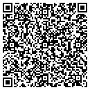 QR code with Consumer Credit Union contacts