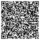 QR code with C N Soft Controls Inc contacts