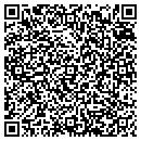 QR code with Blue Gemini Tech Corp contacts