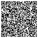 QR code with Blue Leaf Ip Inc contacts