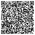 QR code with Aig contacts