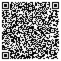 QR code with Ing It contacts