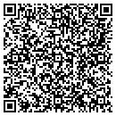 QR code with Blizzard Island contacts