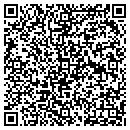 QR code with Bgnr LLC contacts