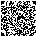 QR code with Amscot contacts