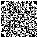 QR code with Cottonwood Financial contacts