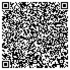 QR code with Blue Bear Lending CO contacts
