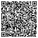 QR code with Afdms contacts
