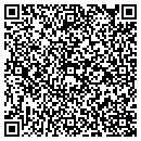 QR code with Cubi Consulting Inc contacts