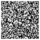 QR code with Camden Design Group contacts