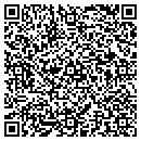 QR code with Professional Floors contacts