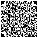 QR code with Precious LLC contacts