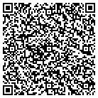 QR code with Blue Skies Solutions LLC contacts