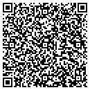 QR code with Carpet Store & More contacts