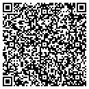 QR code with Carpet Concepts Etc contacts