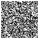 QR code with Carpet Cleanse LLC contacts