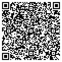 QR code with Colors LLC contacts