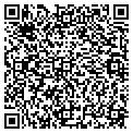 QR code with Netis contacts
