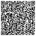 QR code with Bg Telecom Holdings LLC contacts