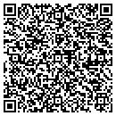QR code with Cgys Consulting L L C contacts