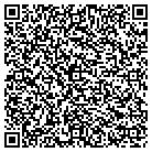 QR code with Circle Computer Group Inc contacts