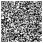 QR code with Blm Technologies Inc contacts