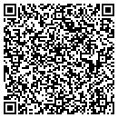 QR code with Premier Concepts contacts