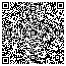 QR code with Cfm Development Corp contacts
