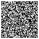 QR code with Cyber Concepts Corp contacts