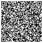 QR code with Blue Mountain Consulting contacts