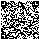 QR code with Cyber Station Family contacts