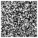 QR code with Carey Niemi & Stout contacts