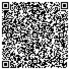 QR code with Publix Super Market 152 contacts