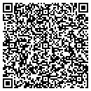 QR code with Professional Finance Inc contacts