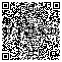 QR code with Bedmax contacts