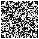 QR code with Pro Image 393 contacts