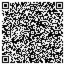 QR code with Precious Wonders Inc contacts