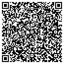 QR code with Custom Party Pinata contacts