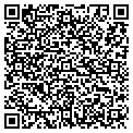 QR code with B-Line contacts