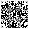 QR code with Solair contacts