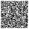 QR code with Dillons contacts