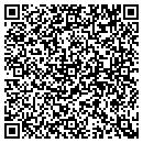 QR code with Curzon Gallery contacts