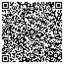 QR code with Cindy N Brayer DDS contacts