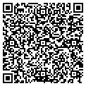 QR code with Sevenar contacts
