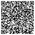 QR code with Digital Albums contacts