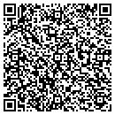 QR code with Blue Dolphin Studios contacts